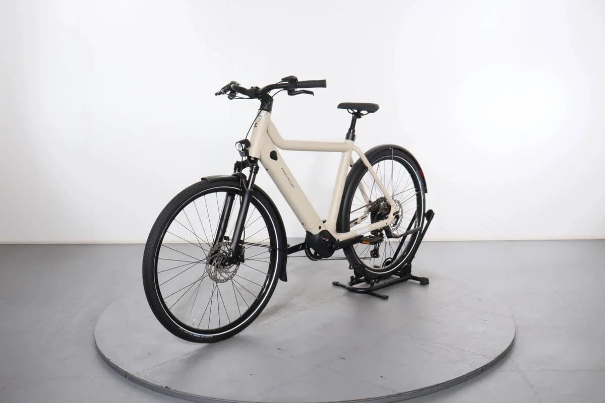 Riese & Müller Culture Touring E-Bike Medium 3