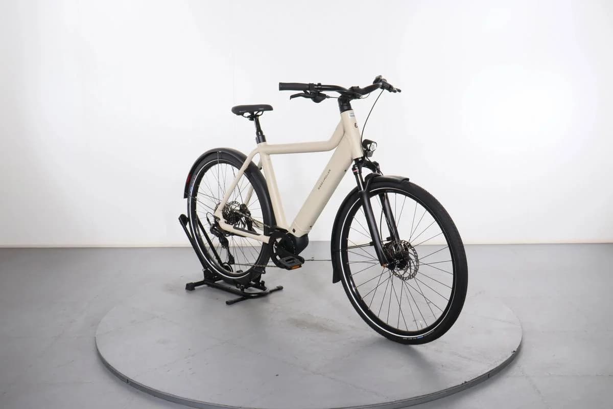 Riese & Müller Culture Touring E-Bike Medium 2