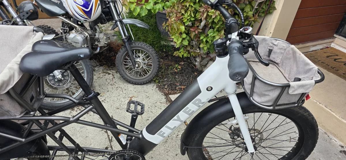 Flyer Cargo E-Bike 3