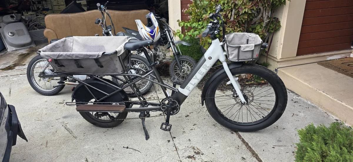 Flyer Cargo E-Bike