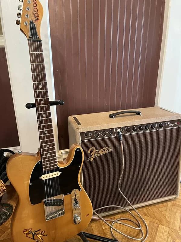 1960s Fender "Pro-Amp" Brownface Vintage Tube Amp w/ 15" Speaker 10