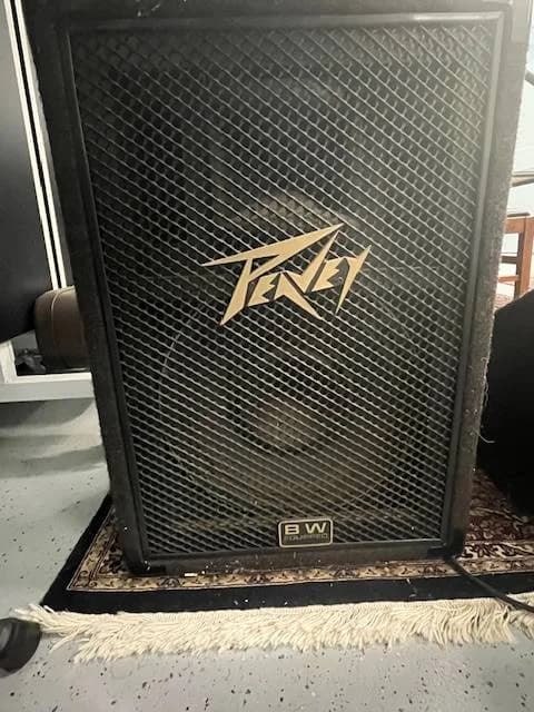 Peavey PA system - $500 for high quality loud! 4