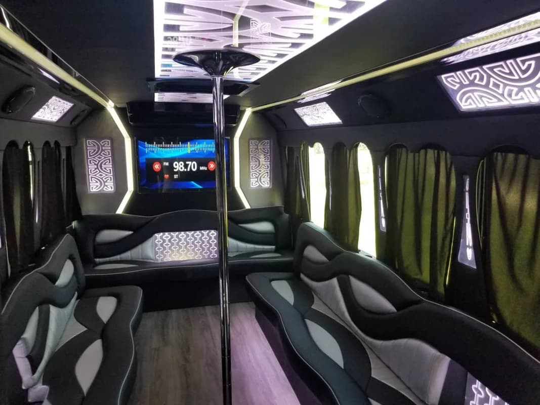 2010 Ford E450 Party Bus 3