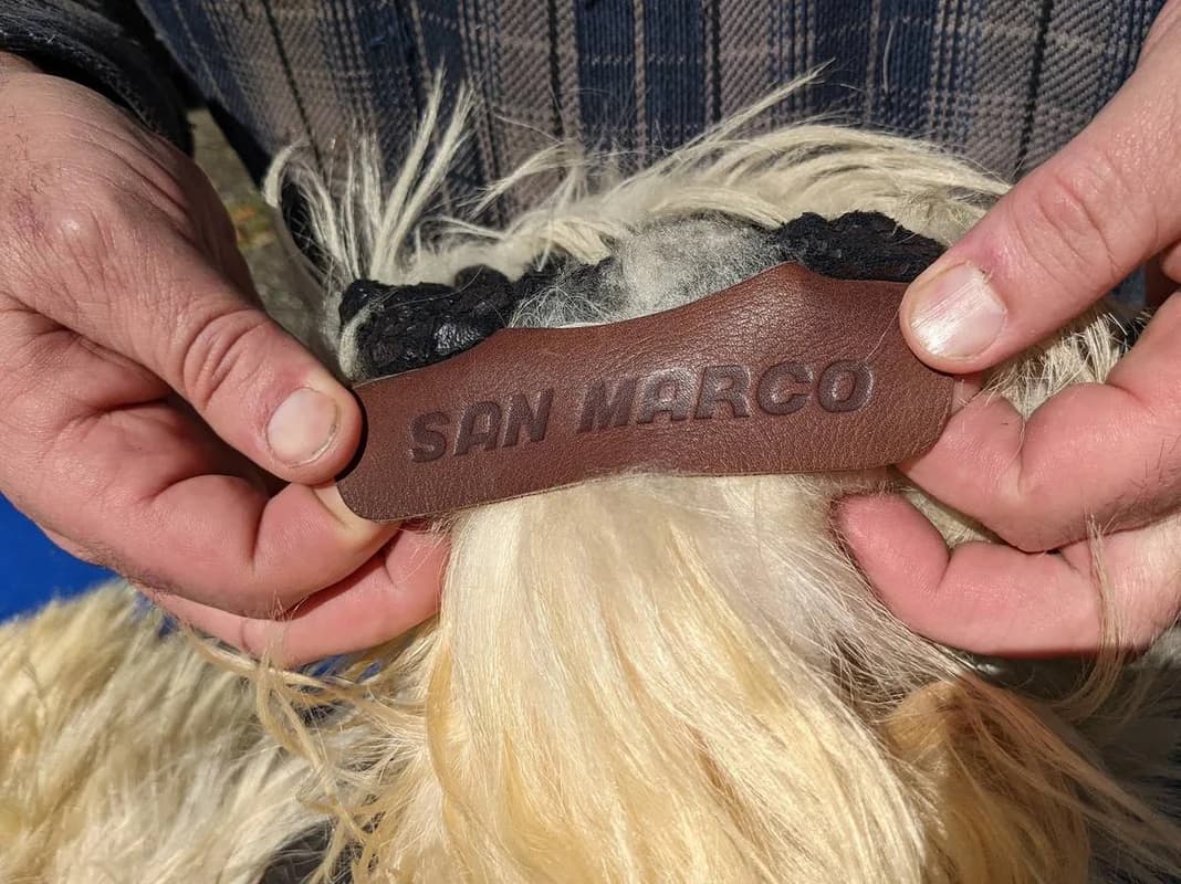 SHAGGY HAIR fur BOOTS womans vintage italy 6