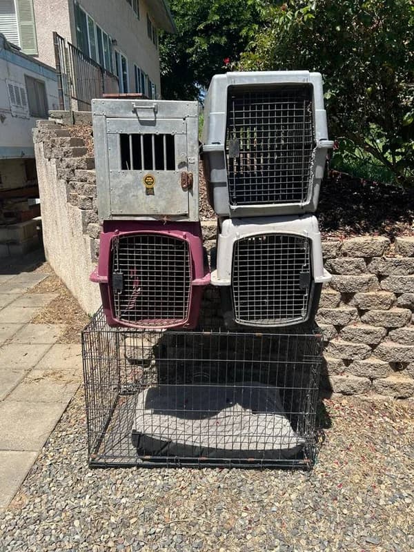 Moving Sale: Animal, Auto, Farm, Household, Sporting & Yard Equipment 17